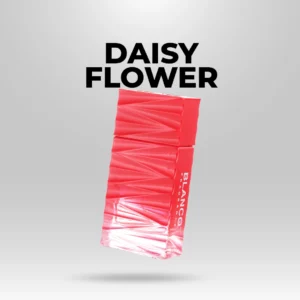 DAISY FLOWER